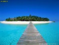 /album/%e7%b6%b2%e8%b7%af%e7%9b%b8%e7%b0%bf/a20070710173448-oem6k8sy-jpg/