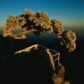 /album/%e7%b6%b2%e8%b7%af%e7%9b%b8%e7%b0%bf/pic023-jpg-jpg/